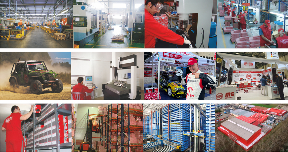 Master-Sport Germany Werbebanner