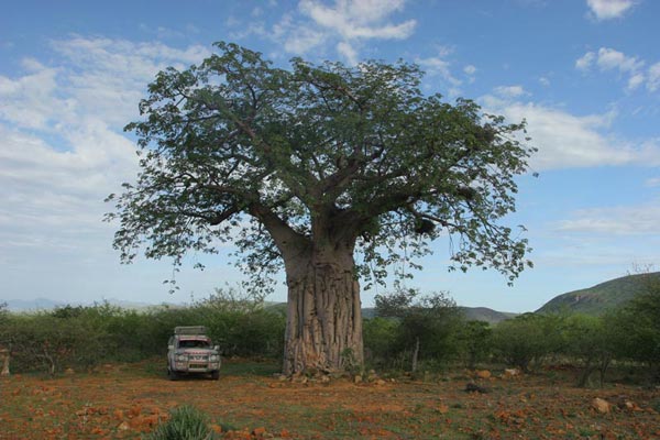 /></figure>
<!-- /wp:post-content -->
<!– wp:image {” sizeslug>
<figure class=